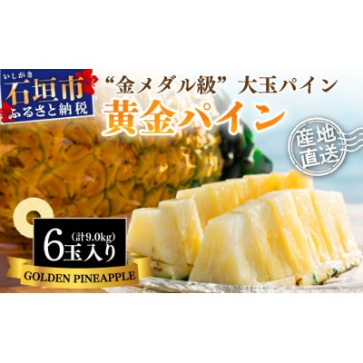 【先行受付】《2025年夏季 順次発送》黄金パイン大玉6個入 計9.0kg