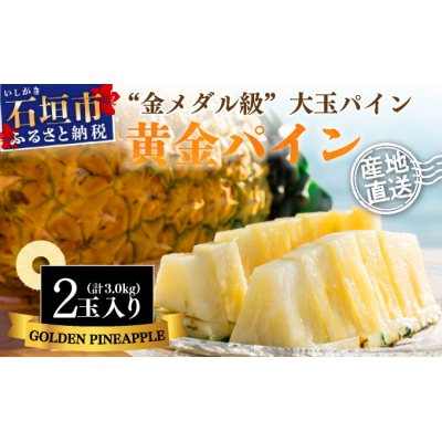 【先行受付】《2025年夏季 順次発送》黄金パイン大玉2個入 計3.0kg