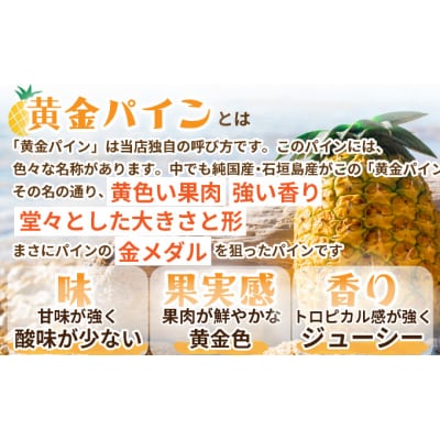 【先行受付】《2025年夏季 順次発送》黄金パイン大玉2個入 計3.0kg