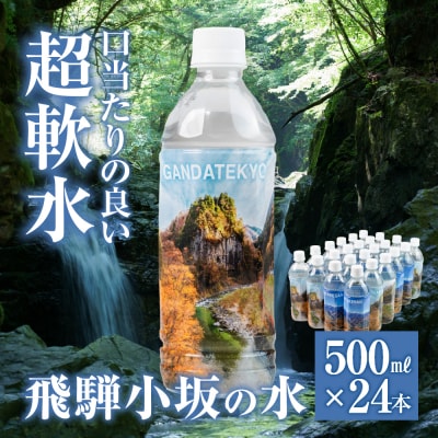 飛騨小坂の水(ナチュラルミネラルウォーター) 500ml×24本(1箱24本入り)【110-1】