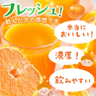 みかん100 1L×6本入り(H116228)