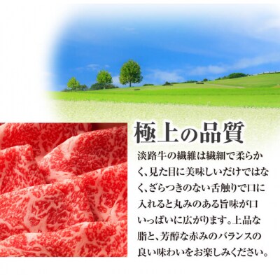 淡路牛　ロースステーキ　約200g×3枚