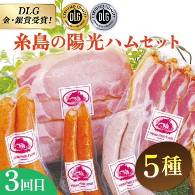 【全3回定期便】 ウインナー/ハンバーグ/ハム 月替りセット 志摩スモークハウス[AOA038]