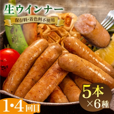 【全6回定期便】 ウインナー/ハンバーグ/ハム 月替りセット 志摩スモークハウス[AOA039]