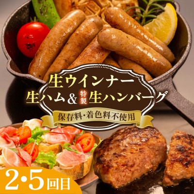 【全6回定期便】 ウインナー/ハンバーグ/ハム 月替りセット 志摩スモークハウス[AOA039]