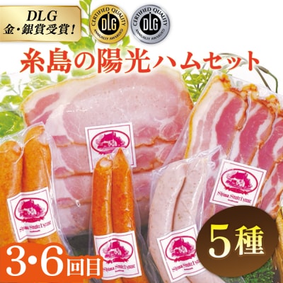 【全6回定期便】 ウインナー/ハンバーグ/ハム 月替りセット 志摩スモークハウス[AOA039]