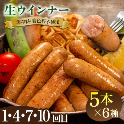 【全12回定期便】 ウインナー/ハンバーグ/ハム 月替りセット 志摩スモークハウス[AOA040]