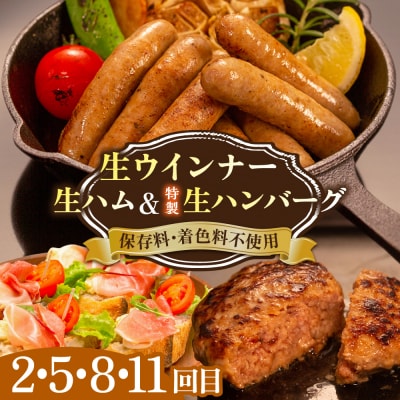 【全12回定期便】 ウインナー/ハンバーグ/ハム 月替りセット 志摩スモークハウス[AOA040]