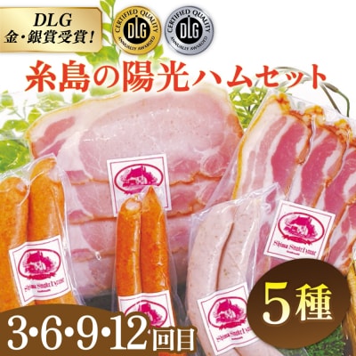 【全12回定期便】 ウインナー/ハンバーグ/ハム 月替りセット 志摩スモークハウス[AOA040]