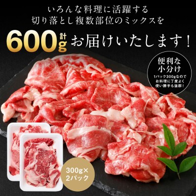 【訳あり】 くまもと黒毛和牛 切り落とし 600g(300g×2) 黒毛和牛_067-6064-A
