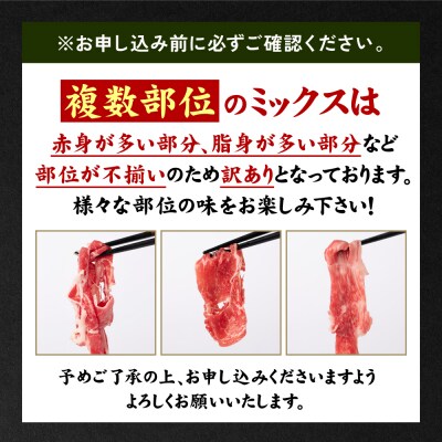【訳あり】 くまもと黒毛和牛 切り落とし 600g(300g×2) 黒毛和牛_067-6064-A