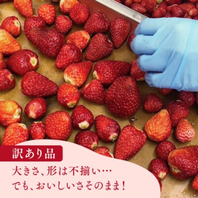 【訳あり】冷凍 いちご 約2.5kg (500g×5パック) 八千代町 数量限定 [AU069ya]