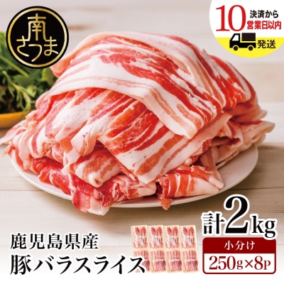 【鹿児島県産】豚バラスライス 250g×8P 計2kgセット