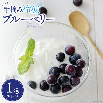 ブルーベリー 冷凍 500g × 2袋 1kg 春夏秋冬いっつもや [31ab0135]