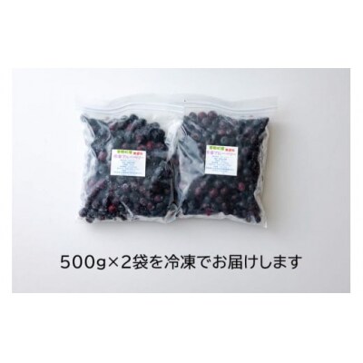 ブルーベリー 冷凍 500g × 2袋 1kg 春夏秋冬いっつもや [31ab0135]