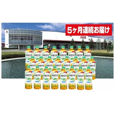 【5か月連続お届け】爽健美茶　600ml PET×24本　【04301-0029】
