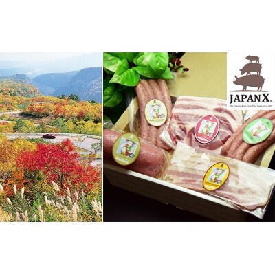 JAPAN X ハム・ベーコン&ソーセージセット/計685g　【04301-0044】
