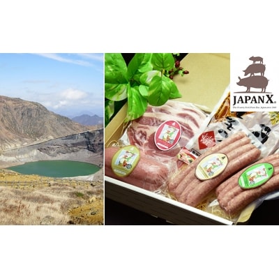宮城蔵王産  JAPAN X ハム・ソーセージ&ホルモンセット/計875g　【04301-0045】