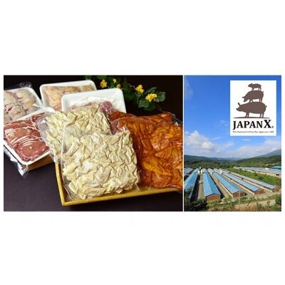 JAPAN X ホルモンバラエティセット2.4kg【04301-0070】