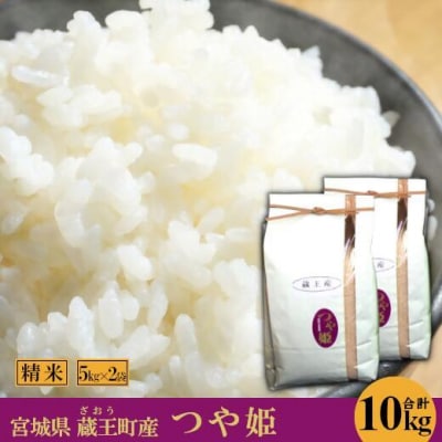 【令和7年産米】蔵王産つや姫10kg(精米・5kg×2)【04301-0146】