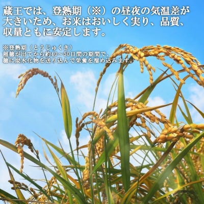 【令和7年産米】蔵王産つや姫10kg(精米・5kg×2)【04301-0146】