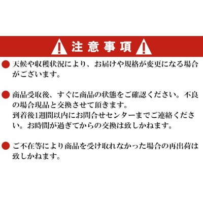 蔵王産米2種食べ比べセット計10kg(つや姫5kgひとめぼれ5kg)【04301-0133】