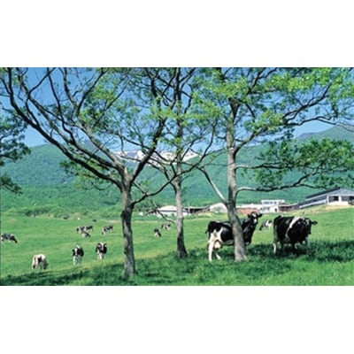 蔵王チーズ「チーズ&ティラミス大福」(4個入×1箱&6個入×1箱)　【04301-0336】