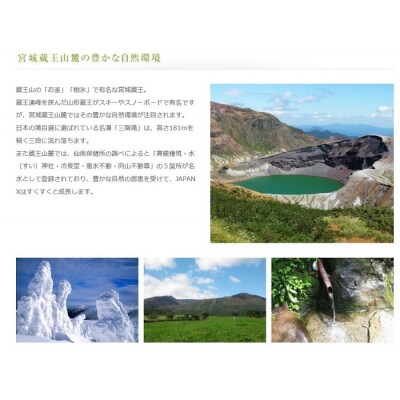 豚肉『JAPANX』3種・2,070g詰合せ「蔵王からの贈りものセットA」　【04301-0190】