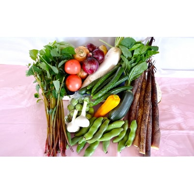 蔵王産 季節の恵み詰合せセット　【04301-0021】