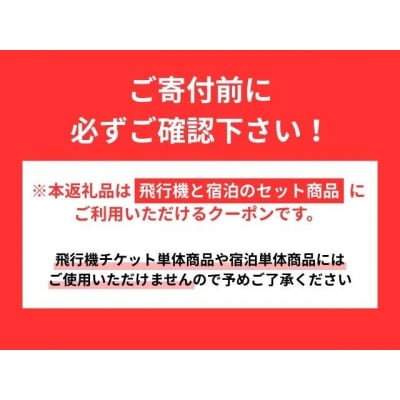 岐阜県に泊まるふるさと納税旅行クーポン3,000円分　NK001
