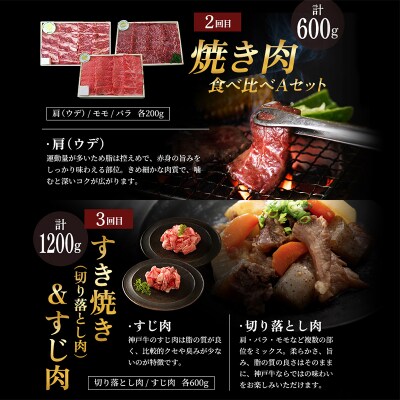 神戸牛 定期便 6ヶ月 食べ比べセット 焼肉用肉 すき焼き用肉 すじ肉 [No5698-0795]