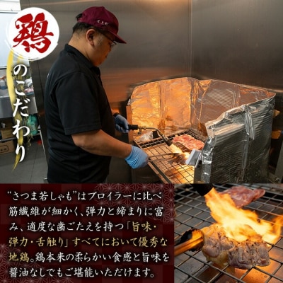 鹿児島県産! 地鶏 ゆっけ 500g(100g×5)  冷凍 小分け 国産 さつま若しゃも