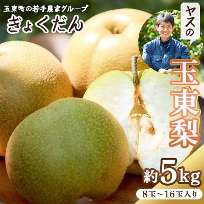 【先行受付】ぎょくだんヤスの玉東梨(約5kg入り)