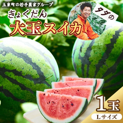 【先行受付】玉東産　ぎょくだんダダの大玉スイカ(1玉、Lサイズ)