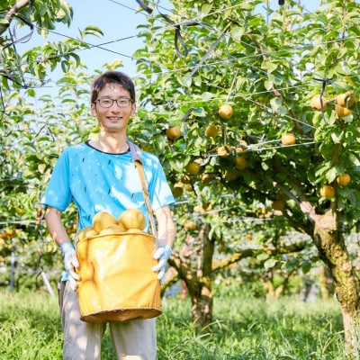 【熊本県玉東町】ぎょくだん・まっちゃんの玉東梨　5kg