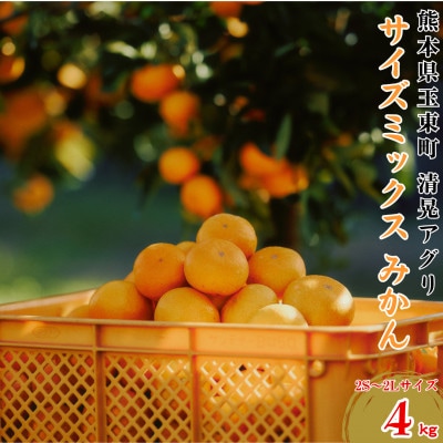 自然の恵みが詰まった極上の甘さ!! 玉東町 みかん 計約4kg(2S-2Lサイズ) 【清晃アグリ】