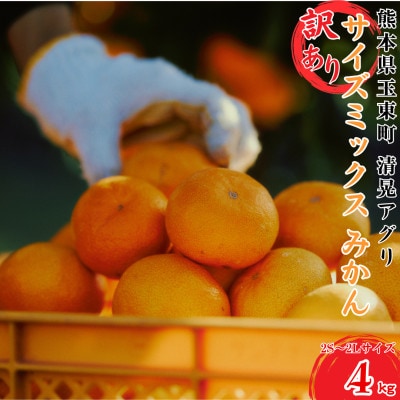 自然の恵みが詰まった極上の甘さ!!「訳あり」 みかん 計約4kg(2S-2Lサイズ) 【清晃アグリ】