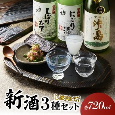 蔵元直送!しぼりたて新酒セット【勝屋酒造】_HA1373