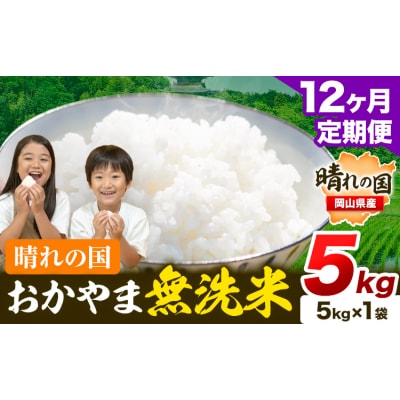 12ヶ月定期便 おかやま無洗米 5kg 米《お申し込み月の翌月から出荷開始》岡山県 笠岡市 無洗米