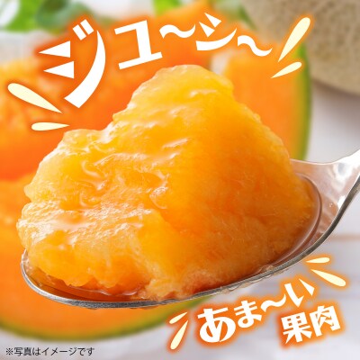 <2026年7月上旬よりお届け>赤肉メロン「北紅クイーン」2玉入り約3.2kg以上SBTP004