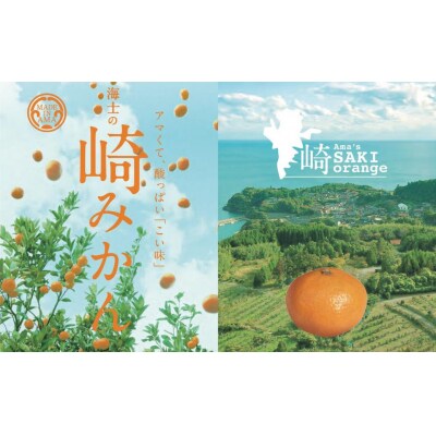 【期間限定】崎地区の崎みかん Mサイズ 5kg 約50個 期間限定 11月下旬より発送開始