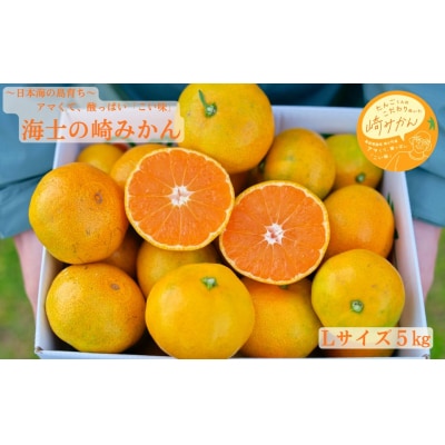 【期間限定】崎地区の崎みかん Lサイズ 5kg 約40個 期間限定 11月下旬より発送開始