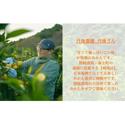 【期間限定】崎地区の崎みかん Lサイズ 5kg 約40個 期間限定 11月下旬より発送開始