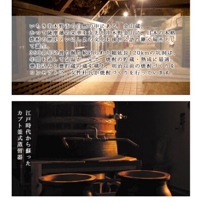 本格芋焼酎「金山蔵」(6本入 )独自の「黄金麹」を使用!