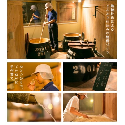 本格芋焼酎「金山蔵」(6本入 )独自の「黄金麹」を使用!