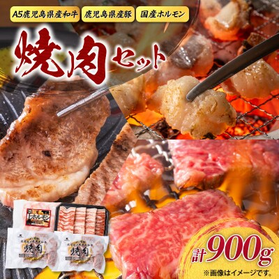 【A5和牛・豚・ホルモン】焼肉セット 900g　K002-055
