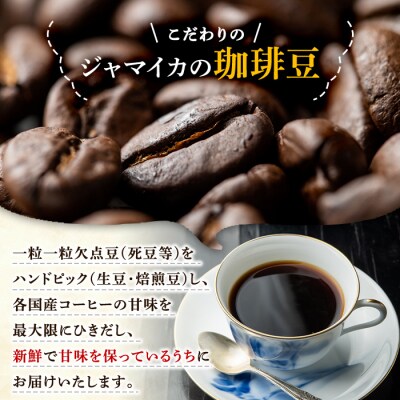 地元老舗店が贈る!本格ブレンドコーヒーセット(100g×5種)　