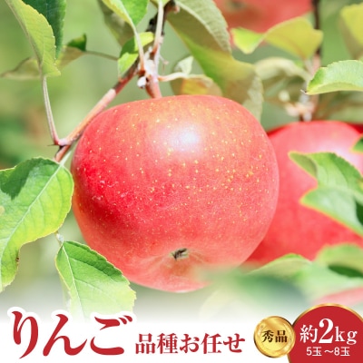 【先行受付】 令和8年産 りんご 品種お任せ 秀品 約2kg 5玉 ～ 8玉 中生種