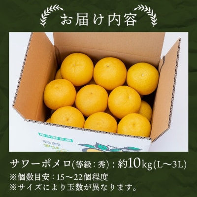 【数量限定】西果樹園のサワーポメロ(秀品) 10kg サイズ:L～3L 