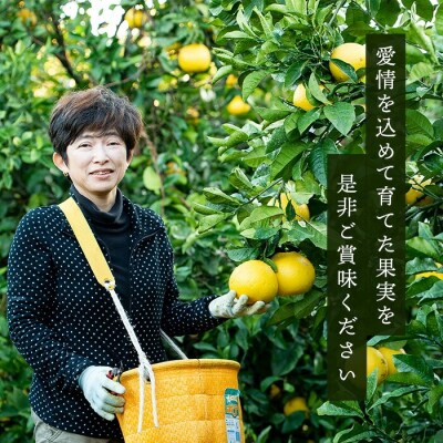 【期間限定】柑橘の宝石箱♪西果樹園柑橘食べ比べセット:約3kg 3種以上